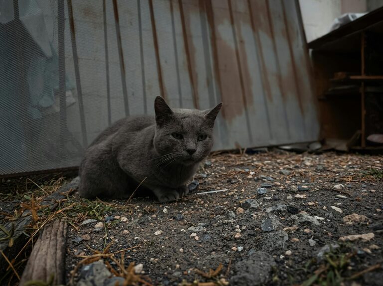 How to Plan a No-Stress Weekend for Ultimate Relaxation